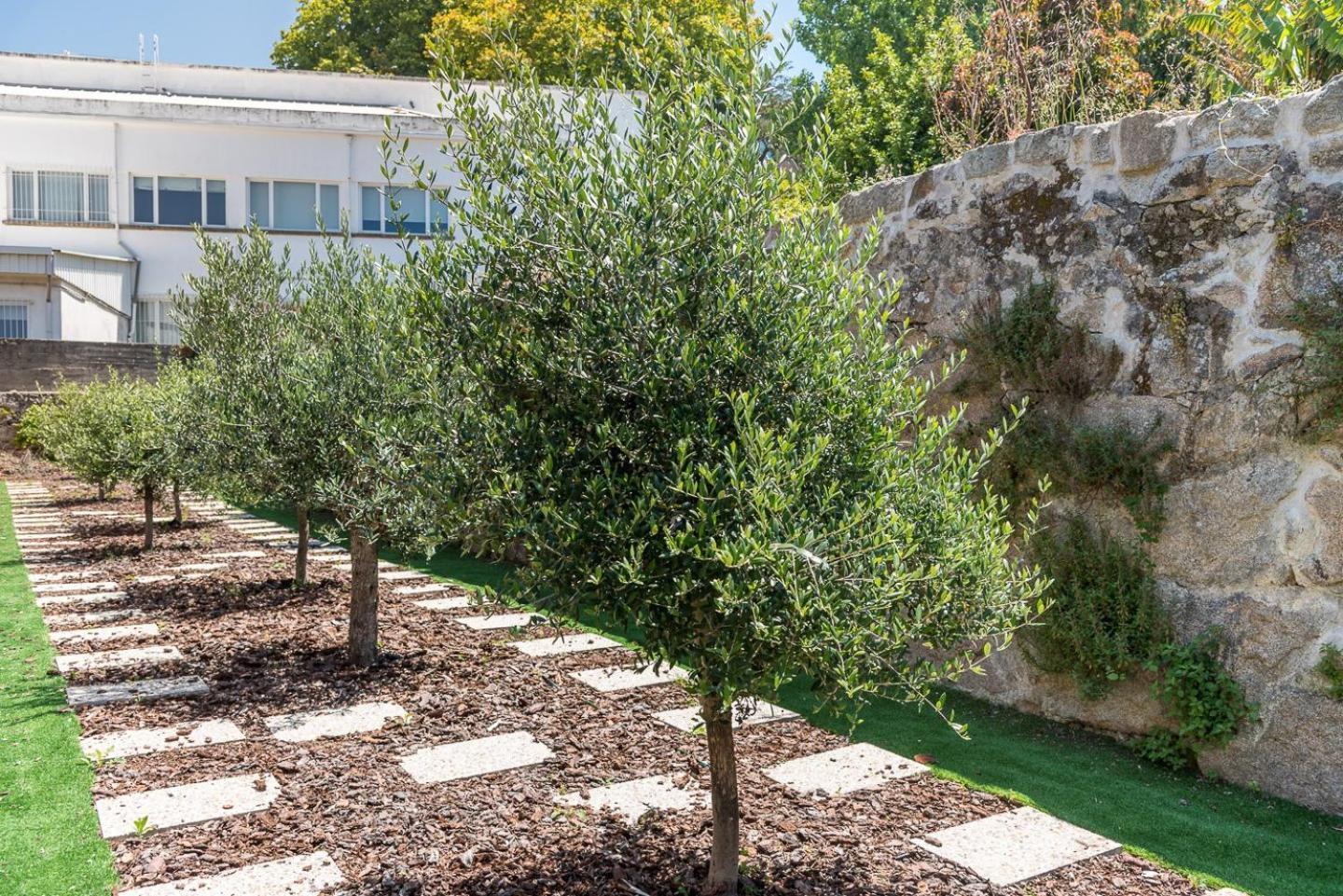 Guestready - Jardim Oliveiras Appartamento *